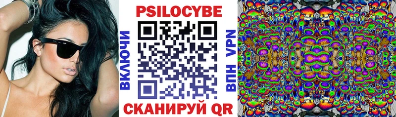 купить наркотик  Покров  Галлюциногенные грибы прущие грибы 
