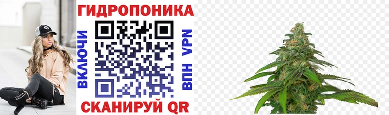 где найти   Покров  МАРИХУАНА семена 
